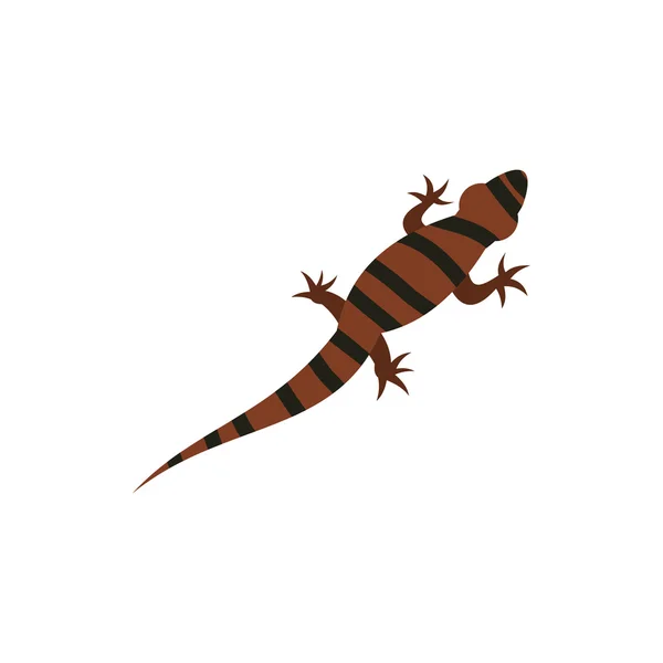 Tigre ambistoma, icono de la salamandra, estilo plano — Vector de stock