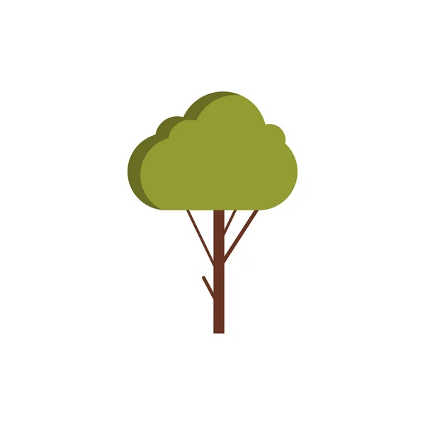 Grüne Baum-Ikone im flachen Stil — Stockvektor
