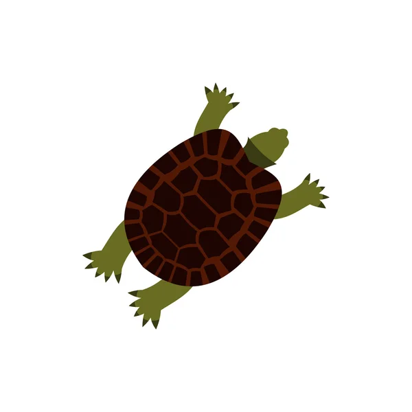 Żółw ikona, płaski — Wektor stockowy