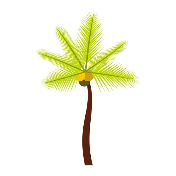 Palm butia capitata icono, estilo plano — Vector de stock