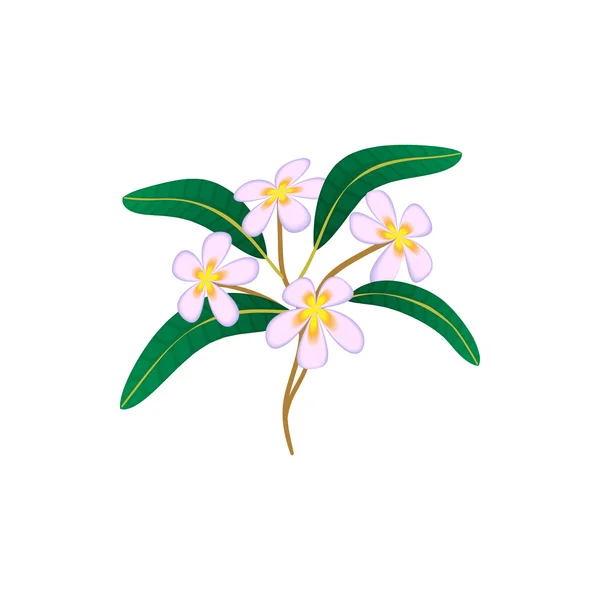 Icona di plumeria fiore, stile cartone animato — Vettoriale Stock
