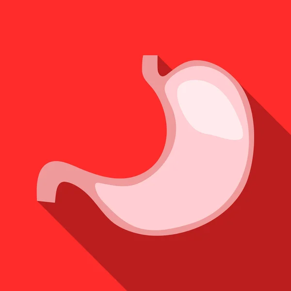 Icono de estómago, estilo plano — Vector de stock