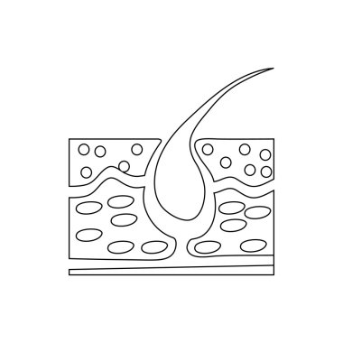 Saç büyüme simgesi, anahat stili