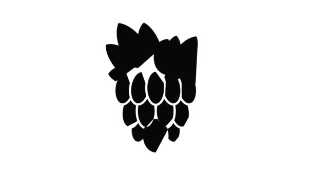 Animación icono de la fruta de uva — Vídeo de stock