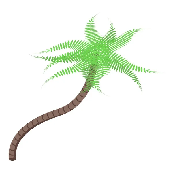 Plant palmboom icoon, isometrische stijl — Stockvector
