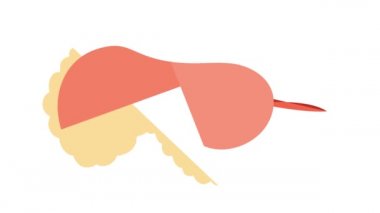 Uyku maskesi canlandırması