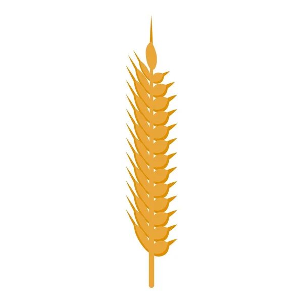 Healthy wheat food icon, isometric style — Stock Vector