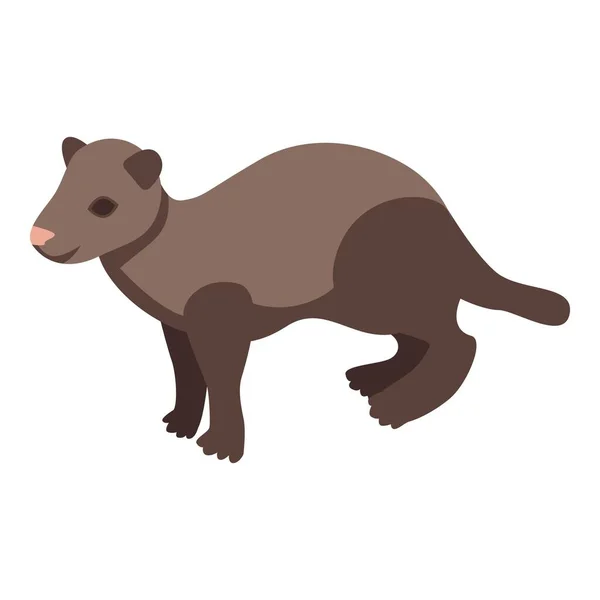 Zoo mink icon, isometric style — Stock Vector