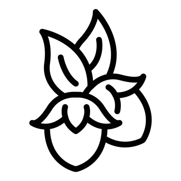 Значок рослини Джохоба, стиль контуру — стоковий вектор