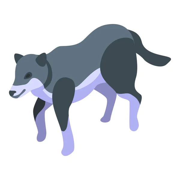 Forest wolf icon, isometric style — Stock Vector