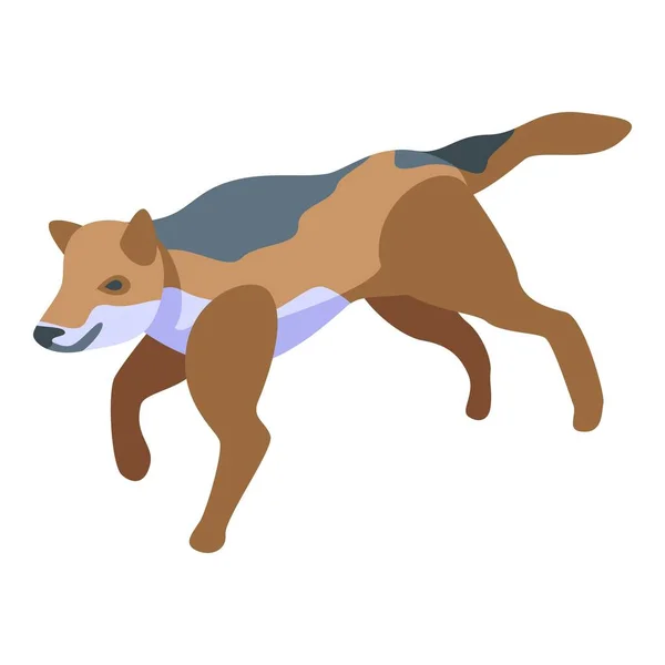Running wolf icon, isometric style — Stock Vector