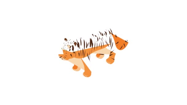Tigerikon animation — Stockvideo