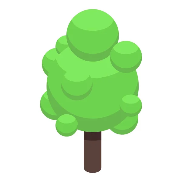 Natural tree icon, isometric style — Stock Vector