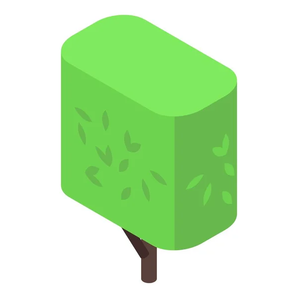 Icono del árbol forestal, estilo isométrico — Vector de stock