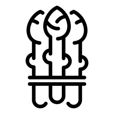 Kuşkonmaz bitkisi ikonu. Beyaz arkaplanda izole edilmiş web tasarımı için özet asparagus bitki vektör simgesi