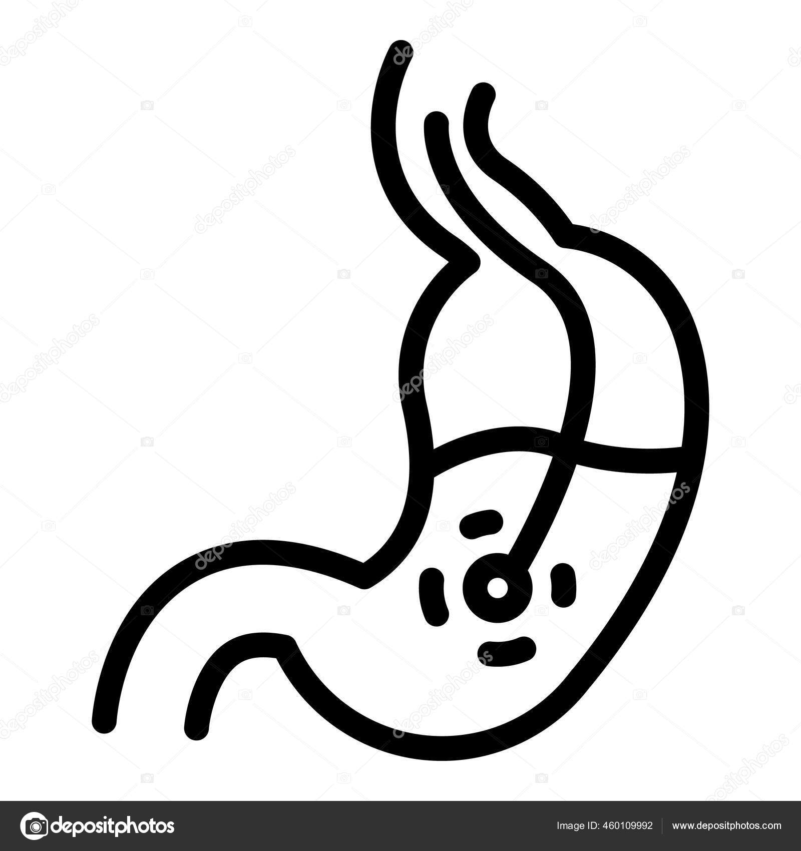 Gastrocameraストックベクター ロイヤリティフリーgastrocameraイラスト Depositphotos Gastrocameraストックベクター ロイヤリティフリーgastrocameraイラスト Depositphotos