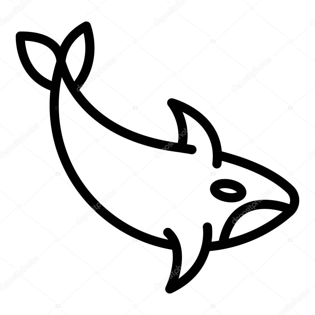 Dolphin orca icon, outline style