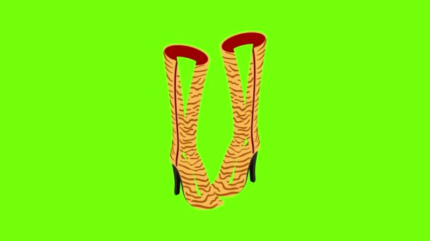 Botas tacones icono de animación — Vídeo de stock