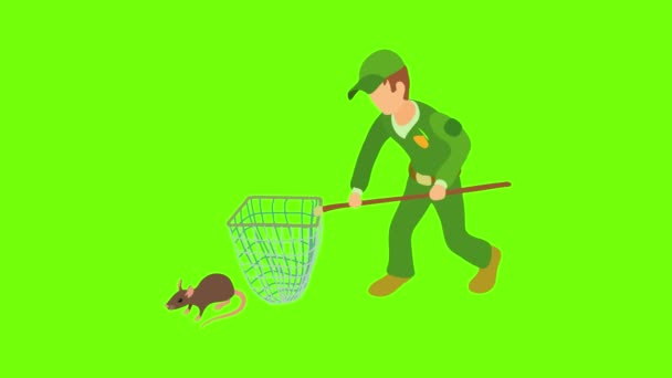 Pest control icon animation — Stock Video
