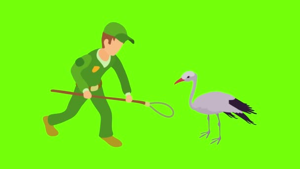 Catching stork icon animation – stockvideo