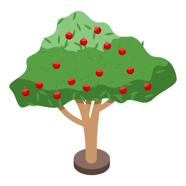 Appelboom pictogram, isometrische stijl — Stockvector