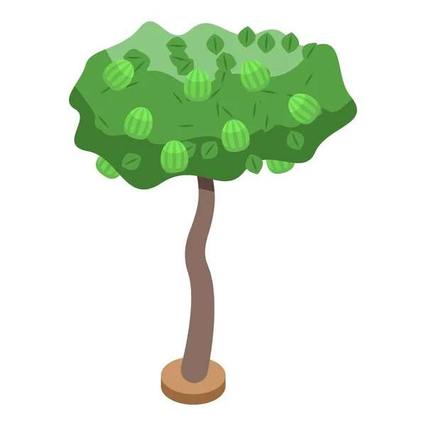 Icono de árbol frutal de bayas, estilo isométrico — Vector de stock