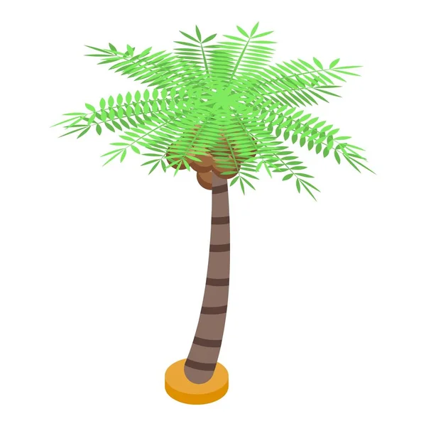Palm fruitboom icoon, isometrische stijl — Stockvector