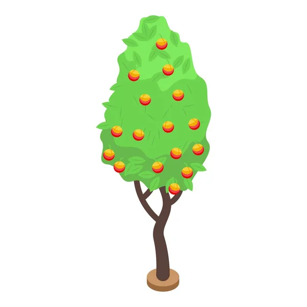 Pfirsichfruchtbaum-Symbol, isometrischer Stil — Stockvektor