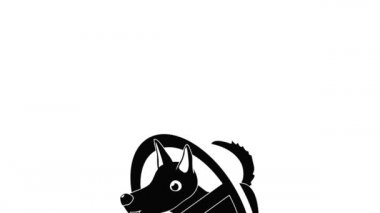 Köpek simgesi canlandırması yok