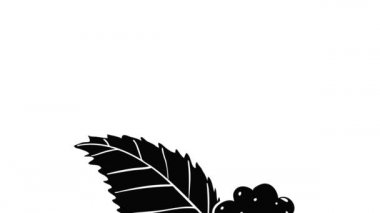 Blackberry simge canlandırması