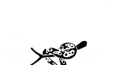 Top piton simgesi canlandırması