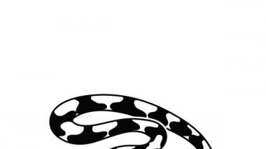 Kral yılan simgesi canlandırması