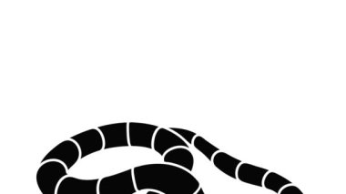 Kırmızı Süt Yılan Canlandırması