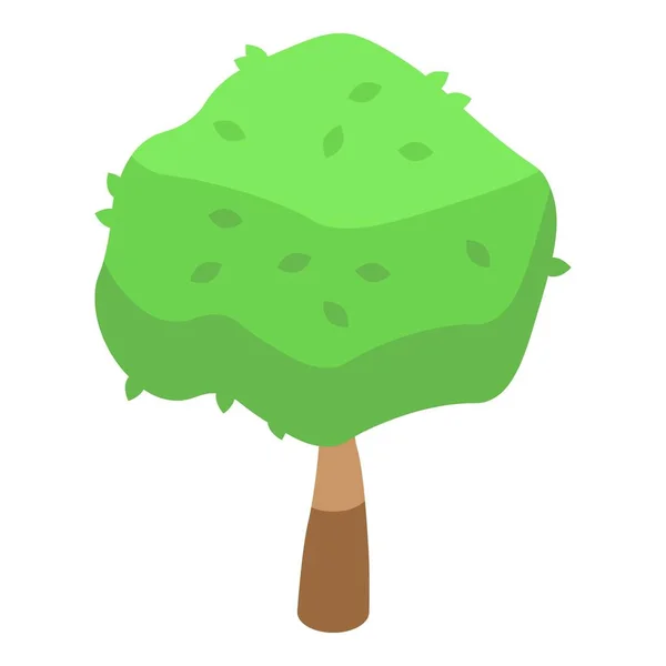 Icono de papel de árbol, estilo isométrico — Vector de stock