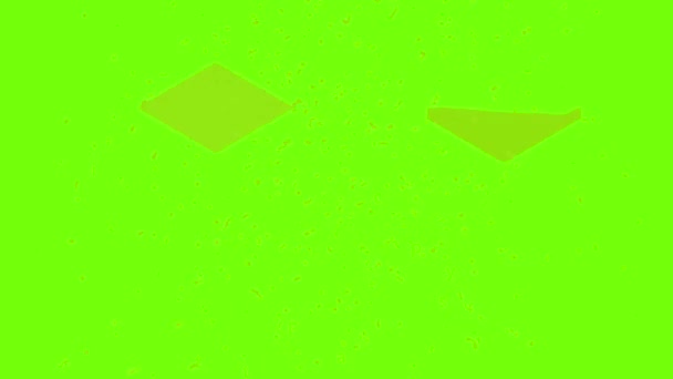 Animation icône côtelette de poisson