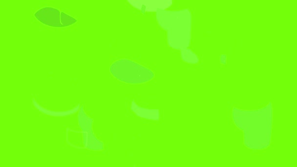 Сірий зелений джинси значок анімації — стокове відео