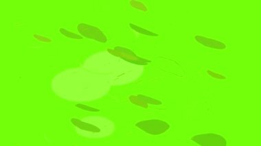 Kotlet simgesi canlandırması