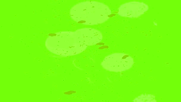 Animation mit Reis auf dem Teller — Stockvideo