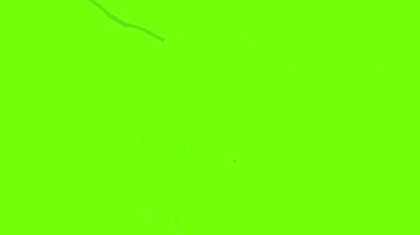 Gidon simgesini yükselt