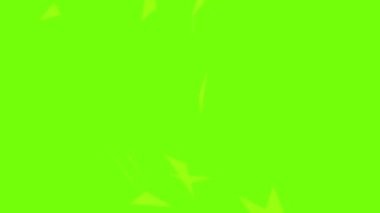 Noel Yıldızı Canlandırması