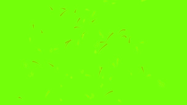Анимация иконок фейерверков — стоковое видео