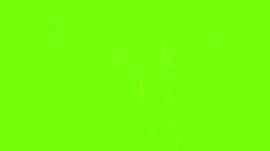 Basswood simge canlandırması