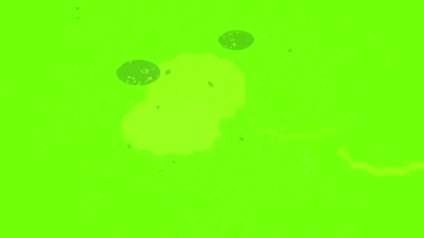 Animation mit Marmeladenkeks — Stockvideo