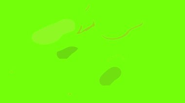 Sezonluk ayakkabı simgesi canlandırması