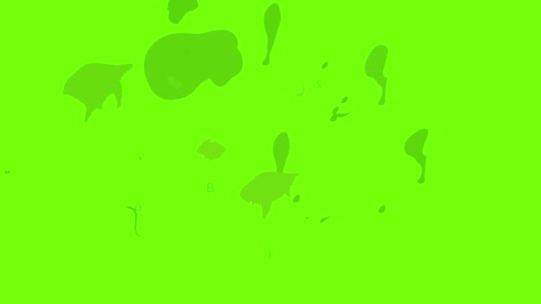 바이슨 아이콘 애니메이션 — 비디오