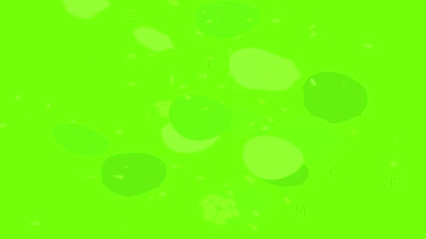 Cucumber 아이콘 애니메이션 — 비디오