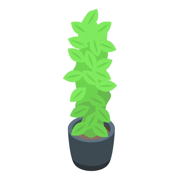 Plant pot icoon, isometrische stijl — Stockvector