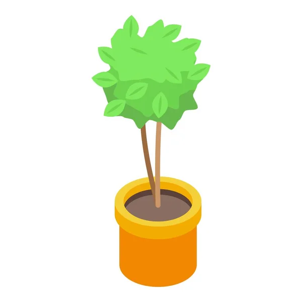 Tree pot plant icon, isometric style — Stock Vector