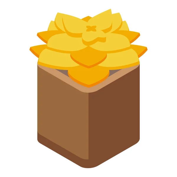 Gold succulent pot icon, isometric style — Stock Vector