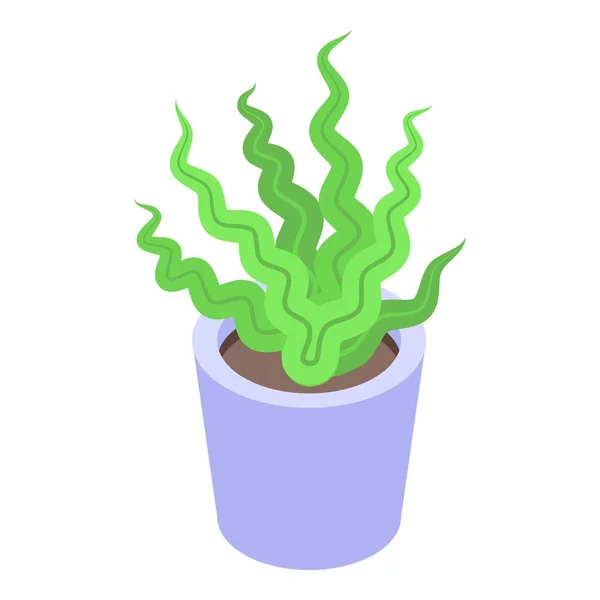 Zee plant pot icoon, isometrische stijl — Stockvector